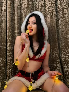 tokkpokki ☃️A New Year's fairy tale with Julia☃️ Billede 7