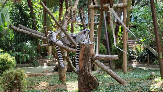 Ivanna_Diamon Zoo! i love it 😍 Pic 3