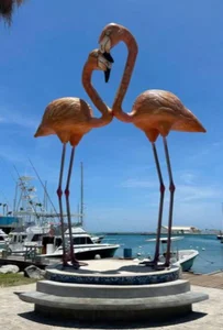 Caro_redd visiting aruba Pic