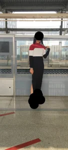 Public