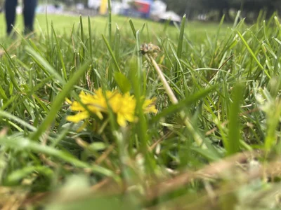 JanneKim 🪄☺️🎀 Pic 9