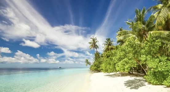 Maggi-is-back🔥🔥🔥🔥图片