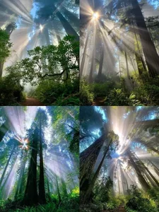 chaymae_nah_ The wonderful thing is nature Poză