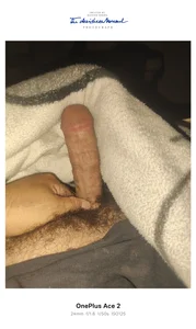 TrainedNickel4 Public صورة واحدة|TrainedNickel4 Public صورتان|TrainedNickel4 Public  3 صور|TrainedNickel4 Public  3 صورة