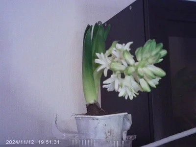 Iren my castle Immagine  4