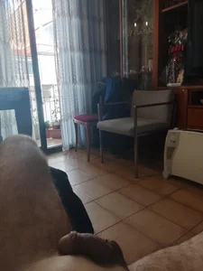 DauntedHumulin Public Kuva 4