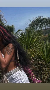 CoralsnakeX Public Bilde 2