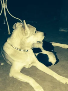 Titan505Public图片 7