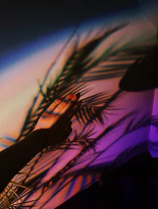 BootyTrisha Tropical sexuality Foto 5