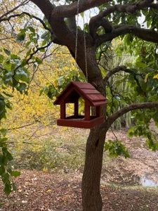 luna_berryy A little autumn Immagine  4