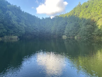 shoma2003 Public Hình 3