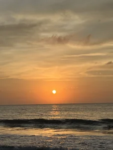 Latino_Junge Dreams come true 🥹  2টি ছবি