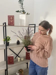 Public de VetaDearmon  9 Imagens