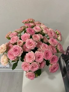 AliceAtkinsのMy morning!の 3枚の写真