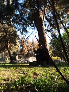 420_redbeard Public Immagine  5