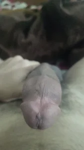 amirMohamed58.图片 3