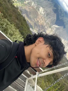 bracth_ hidden sanctuary รูป  2