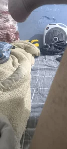 cactotoAnh yeu图片 5