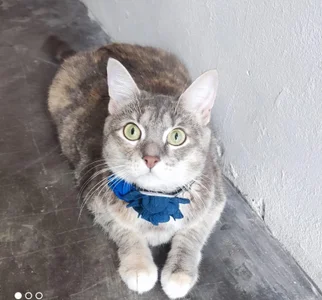 Roja_tentacion: Public ( 7 фото)