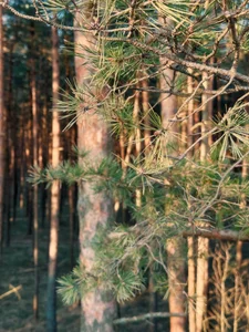 MaryMurray Nature and me Foto 4