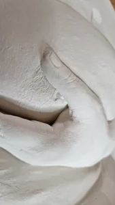 Tigon80 Public Bilde 2