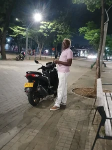 sharpei Public Foto 9