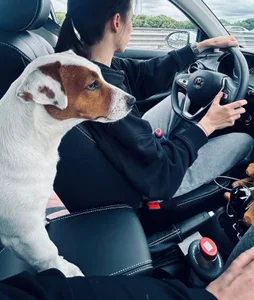 with dogs de _ni_kiss Foto 3