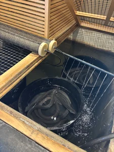 hi_ka_ri0728 ぴかりんの日常♡ 圖片 5