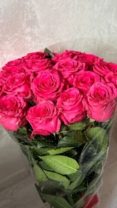 MelissaMelrey 🎄❄️ Pic 2