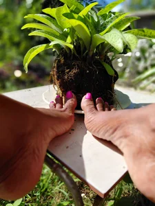 Public de SeductressGem Foto 8