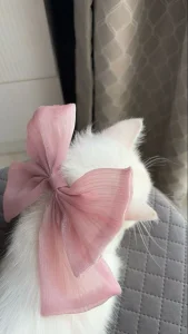 LixeLuna aesthetic Poză 3