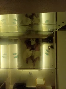 kalebGostoso: Gostosa chupa rola ( 3 фото)