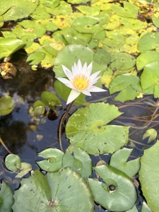 Valen_ross_ Playa brisa y mar 🌊 Foto 5