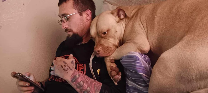 Hornypussymaster Public Pic