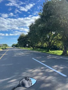 obzidyan Ride/Earth Foto 2