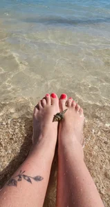 LadyXXXXxのLEGS ❤️の 8枚の写真