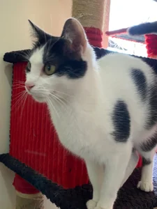 alisson_zafiro_my loves Bild 5