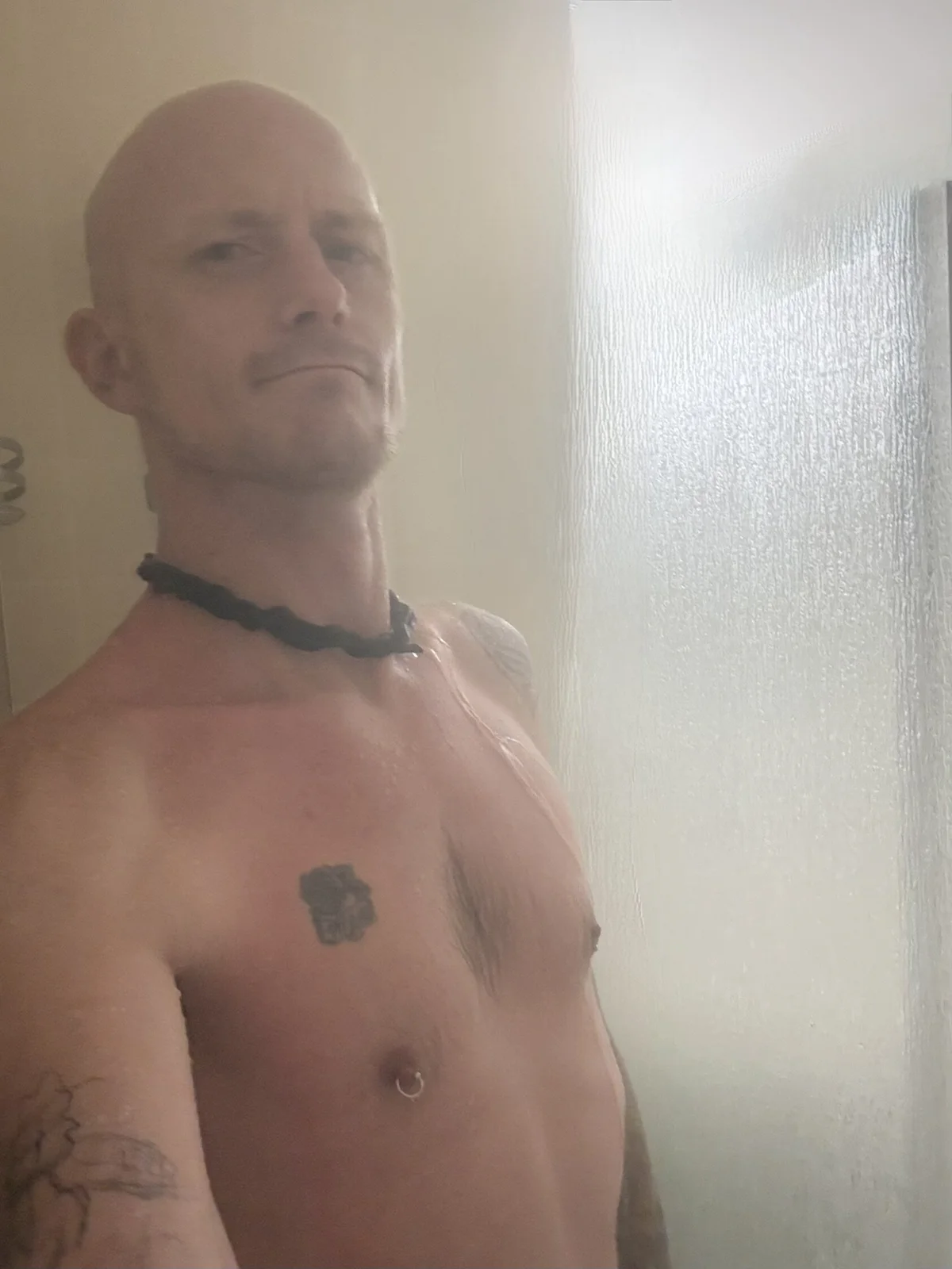 صور Holden-Cock الرائجة  6471