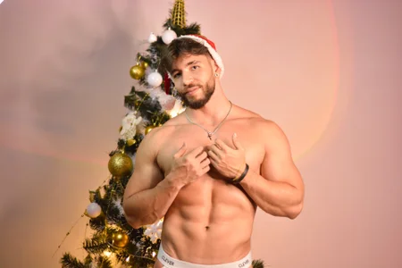 JACKSON_STIFLER navidad Poză 9