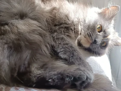 My weekend 🍃 od samanta_hotty  4 snímek