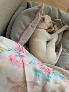 Wavy styling od LaveraMeling  5 snímek