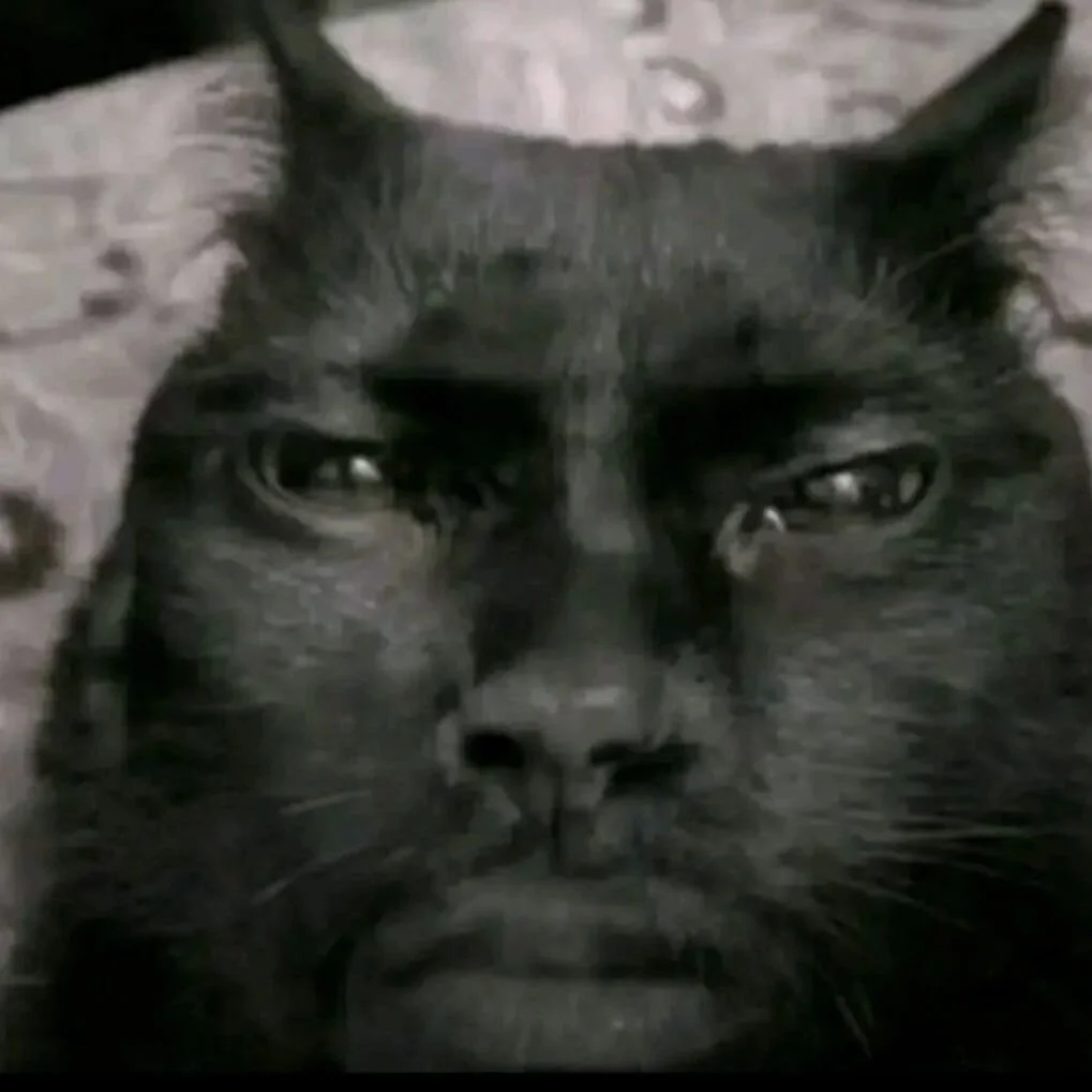 Tyler_durtenPublic图片 3