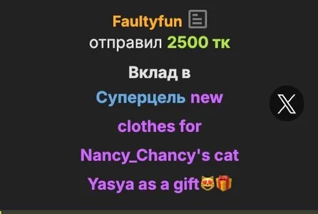 elsawhere 🤍THANK YOU🤍 epic goal: new clothes for Nancy_Chancy's cat Yasya as a gift😻🎁 Foto 2