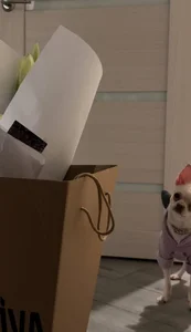 On this day od LaveraMeling  2 snímek