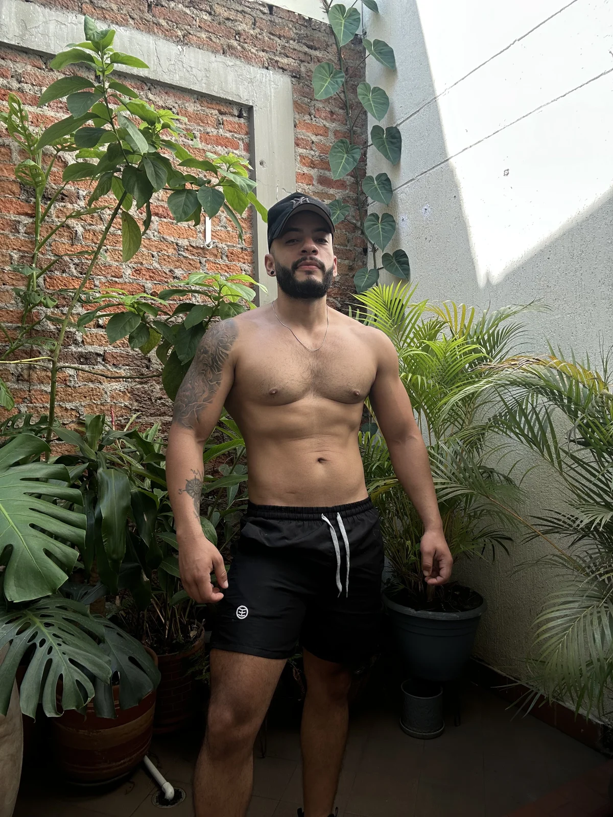 Трендове зображення  583 Mike_savage3