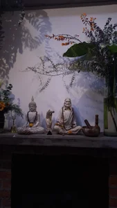 _Angel_witch 🪷🌸🌻 Photo 8