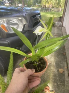 rock-hard-fun Public Pic 3