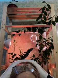 raingurlのPublicの 6枚の写真