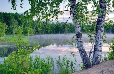 Vfhuj's photo