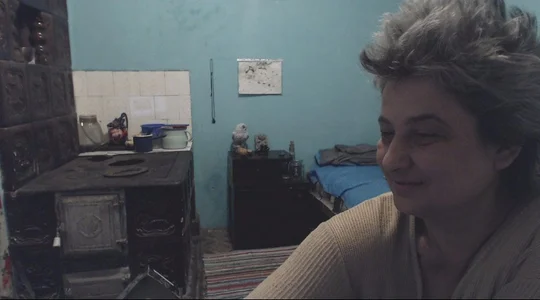 ExquisiteMature aripidenoapte Hình 3